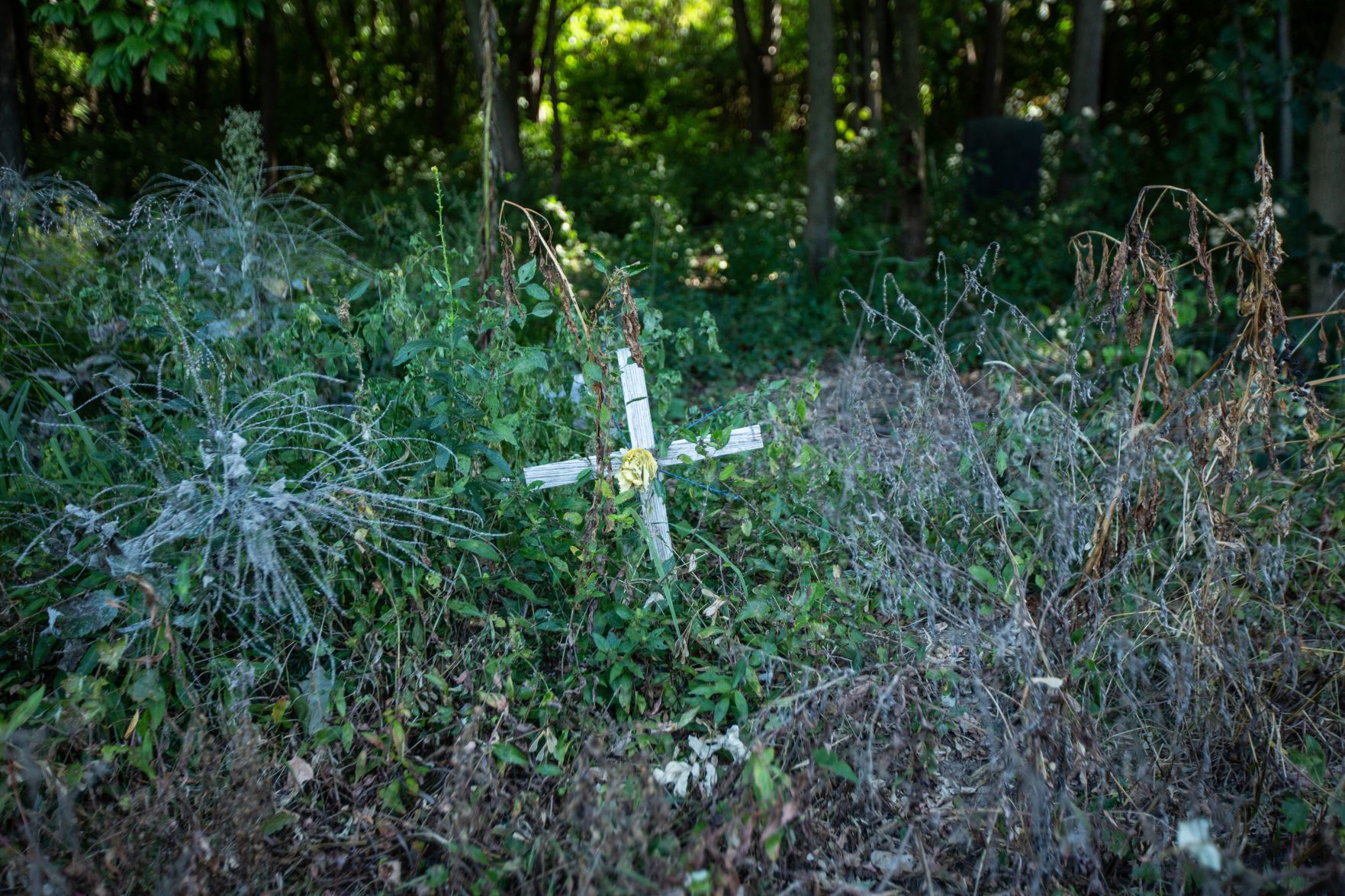Washington Park Cemetery